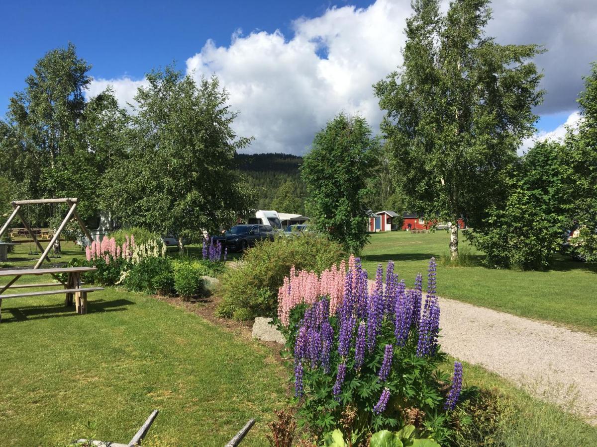Alevi Camping Stöllet Eksteriør bilde