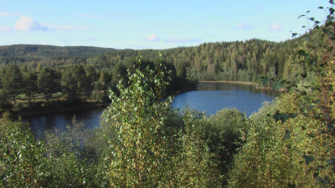 Alevi Camping Stöllet Eksteriør bilde